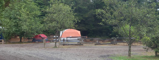 economy tent